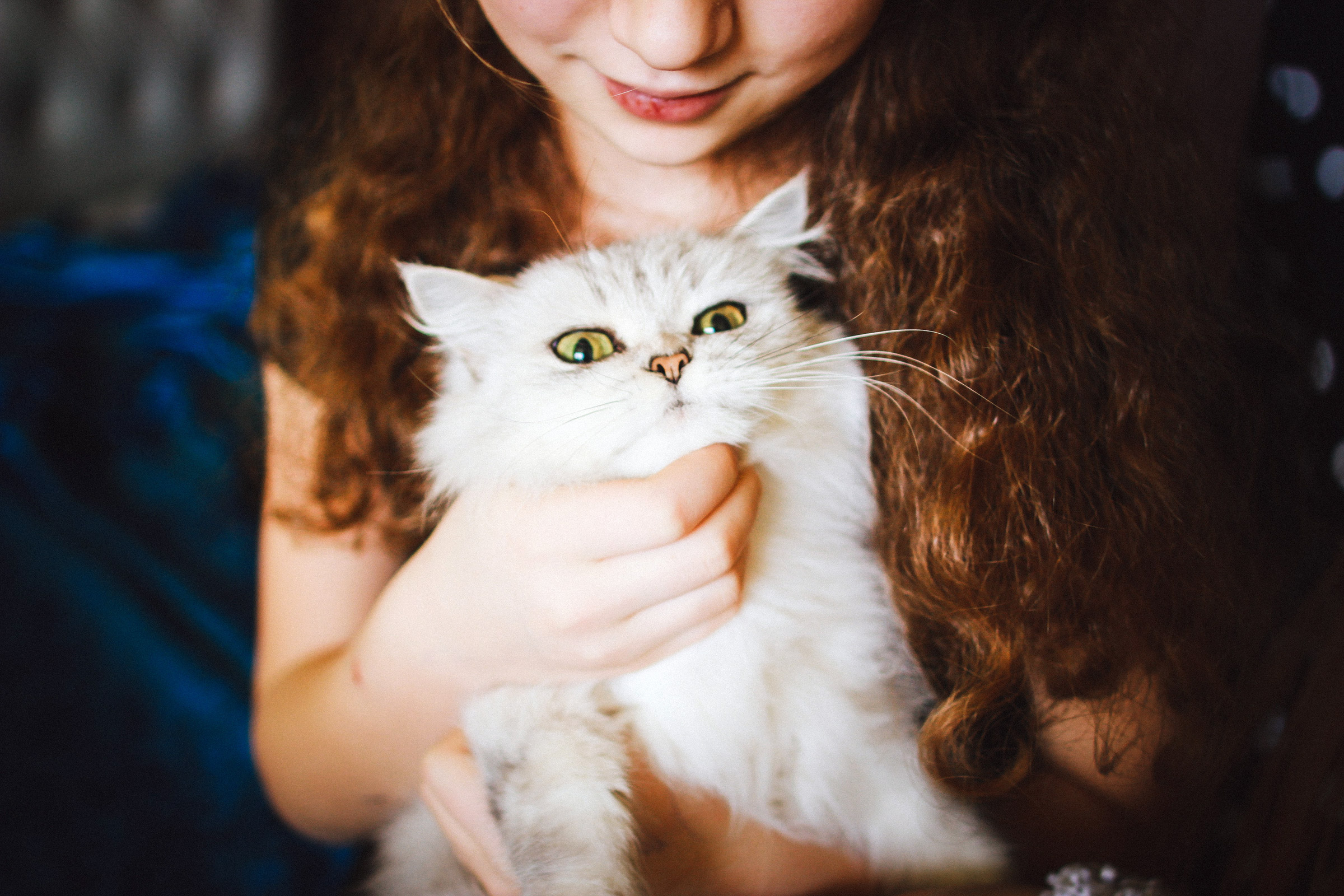 As your cat ages, changes occur in his or her physical condition that warrant more frequent trips to the veterinarian.