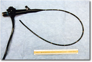 Veterinary Endoscope