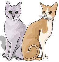 Cats were revered in ancient Egypt
