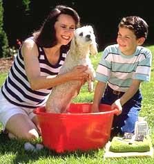 Bathe your dog in a bathtub or utility tub