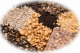 Variety of Bird Seed.