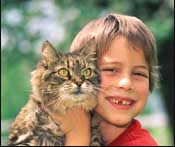Helping with pets can teach a child responsibility