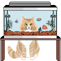 Cats can be right-pawed or left-pawed