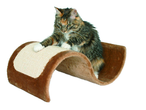 Petlinks System Dream Curl Curvy Two-Surface Scratcher