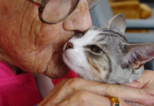 elderly woman kissing cat