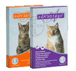 Advantage for Cats