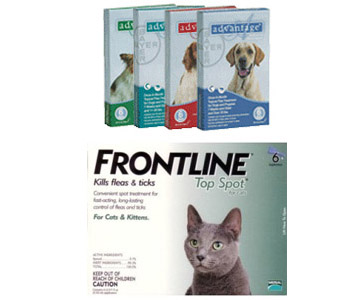 Pet owners should beware of counterfeit versions of Frontline and Advantage