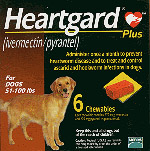 Heartgard