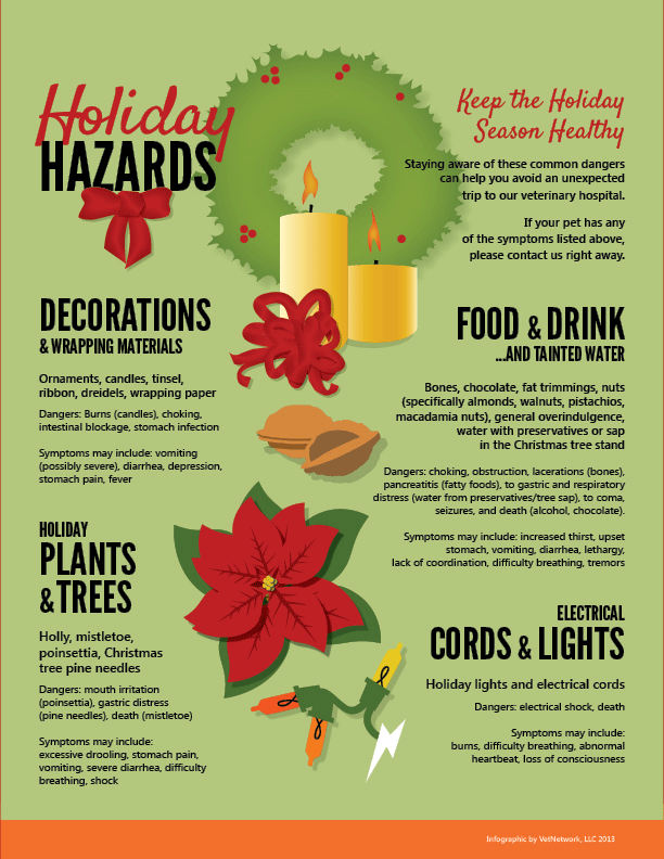 Holiday Hazards