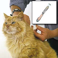 A microchip aids in identification