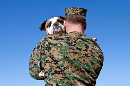 PTSD Therapy Dog