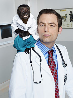 NBC's Animal Practice
