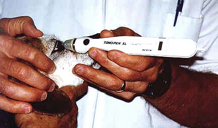 Tonometry is the measurement of pressure within the eye