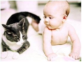Baby and cat