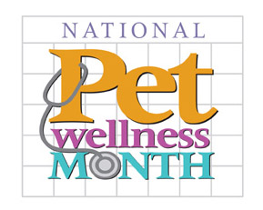 National Pet Wellness Month.