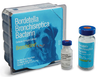 Pfizer offers a vaccine against bordatella (kennel cough).