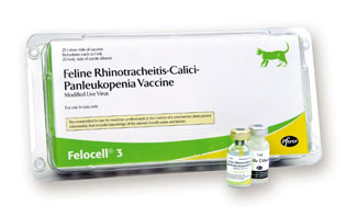 Felocell is effective against distemper and panleukopenia.