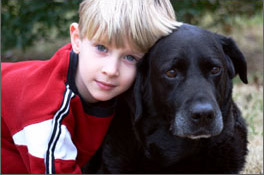 Senior dog and boy