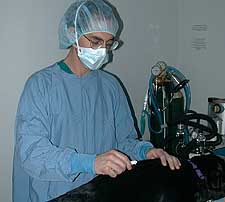 Microchip Insertion