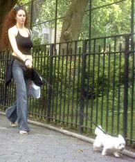 Who's walking who?