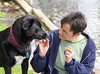 There are many ways to prevent your dog from barking at inappropriate times