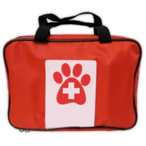 Pet First Aid Kit